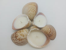 Load image into Gallery viewer, Handmade Shell Soy Candles-Beach Candles-Ocean Shell Candles-Beach Décor