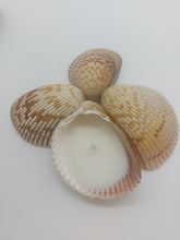 Load image into Gallery viewer, Handmade Shell Soy Candles-Beach Candles-Ocean Shell Candles-Beach Décor
