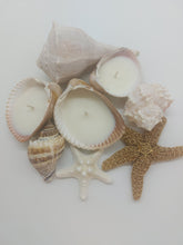 Load image into Gallery viewer, Handmade Shell Soy Candles-Beach Candles-Ocean Shell Candles-Beach Décor