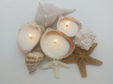 Load image into Gallery viewer, Handmade Shell Soy Candles-Beach Candles-Ocean Shell Candles-Beach Décor