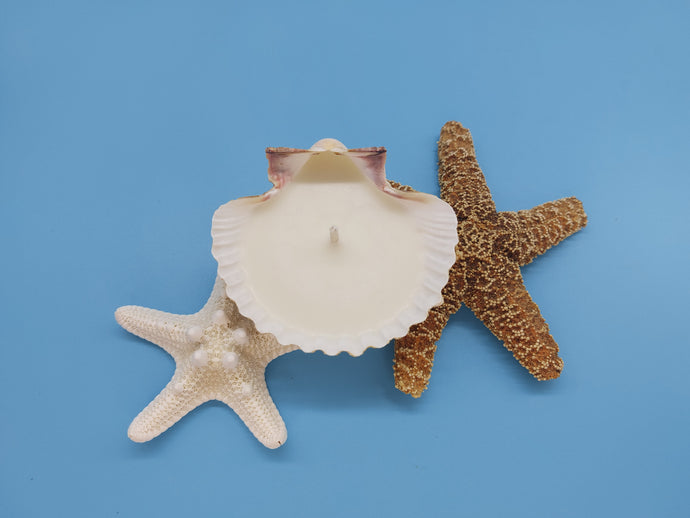 Shell Candles - custom order order for Amy