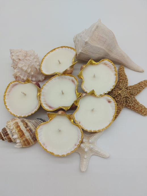 Shell Candle Making Class