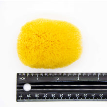 Load image into Gallery viewer, Sponges - 2&quot;-3&quot;