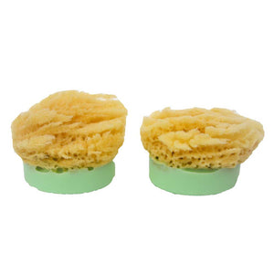 Sponge Soap Eucalyptus Spearmint