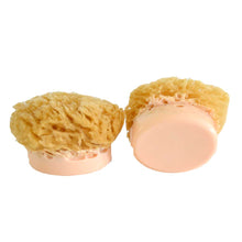 Load image into Gallery viewer, Sponge Soap Honey