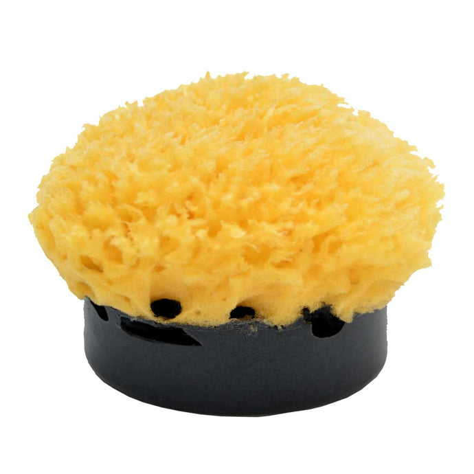 Sponge Soap Charcoal