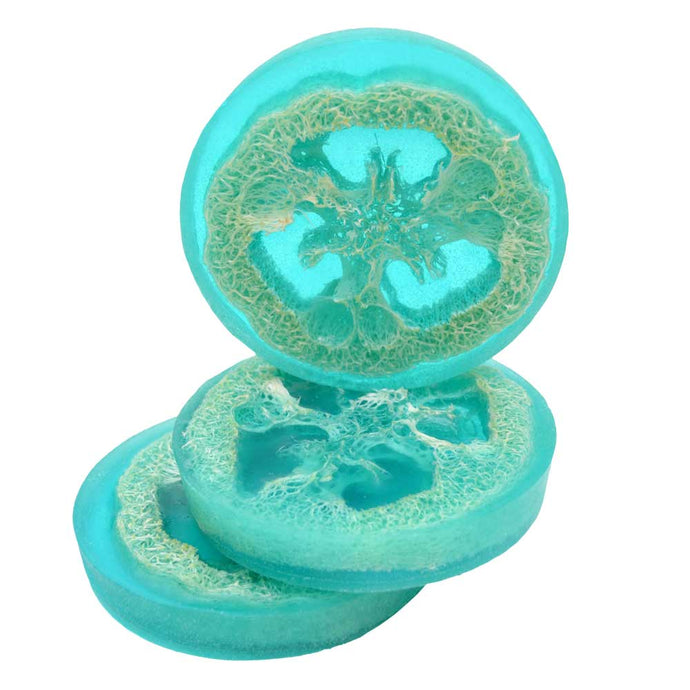 Loofah Soap Ocean