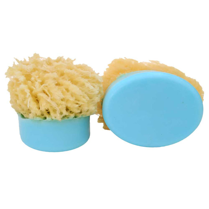 Sponge Soap Ocean