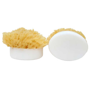 Sponge Soap Fragrance FREE