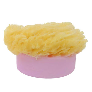Sponge Soap Black Raspberry Vanilla