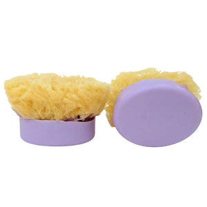 Sponge Soap Lavender