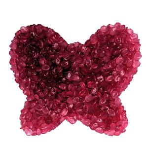 Air Freshener Black Raspberry Vanilla
